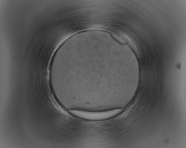 X0000096980900200803071026