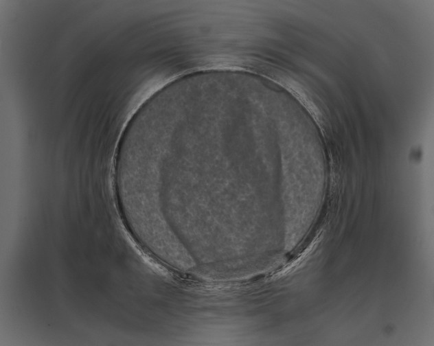 X0000096980901200803071026