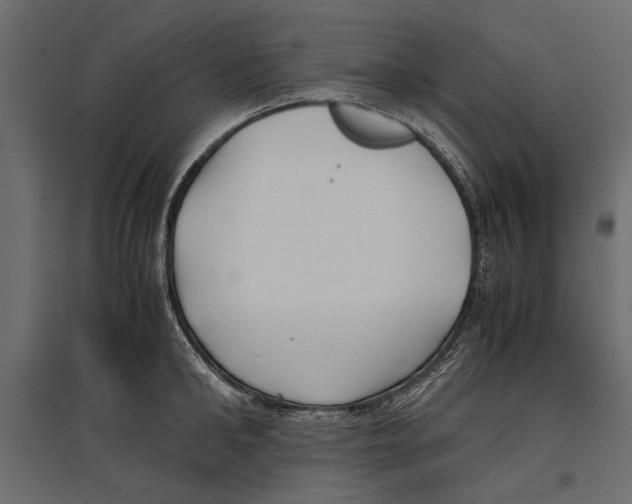 X0000096980902200803071026