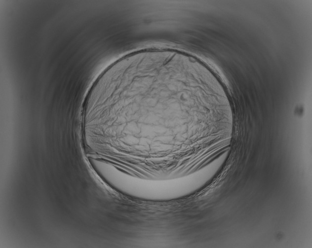 X0000096980903200803071026