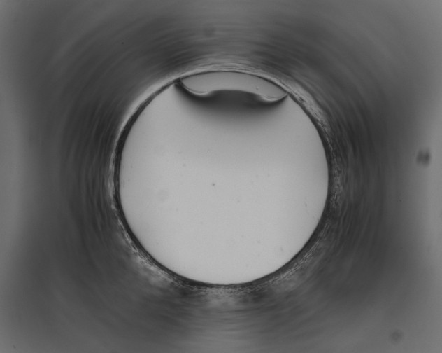 X0000096980904200803071026