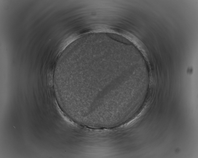 X0000096980905200803071026