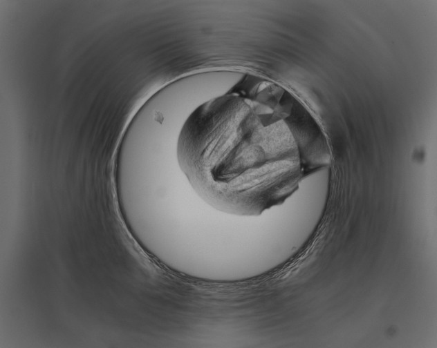 X0000096980907200803071026