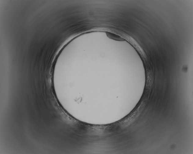 X0000096980908200803071026