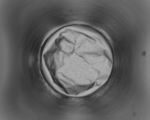 X0000096980910200803071026