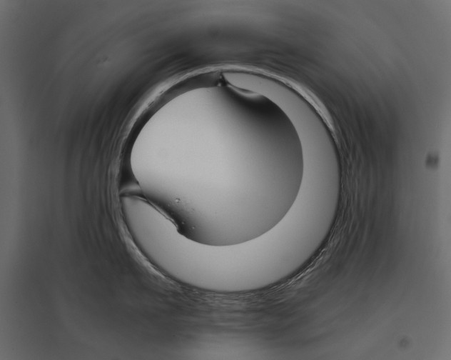 X0000096980911200803071026