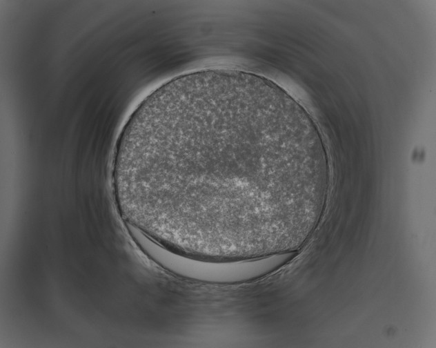 X0000096980912200803071026