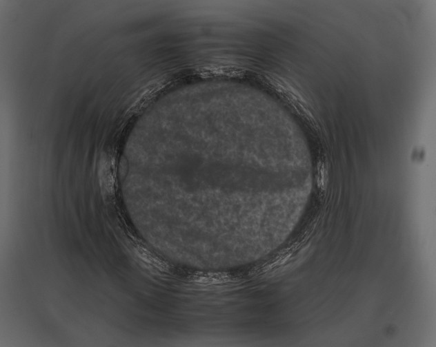 X0000096980915200803071026