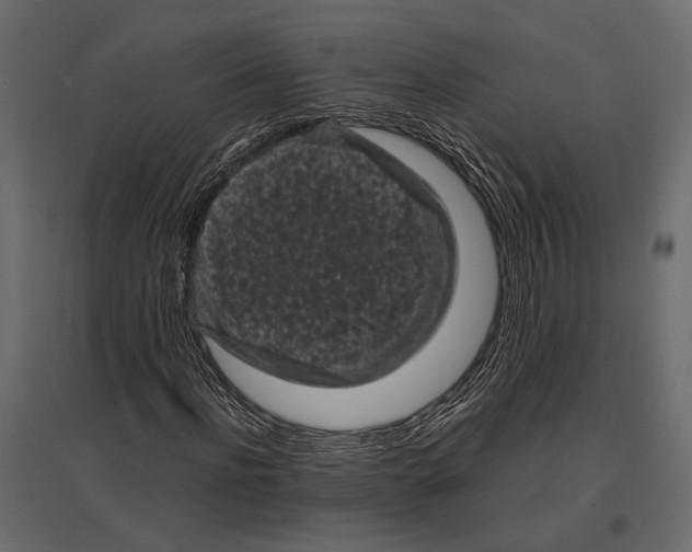 X0000096980916200803071026