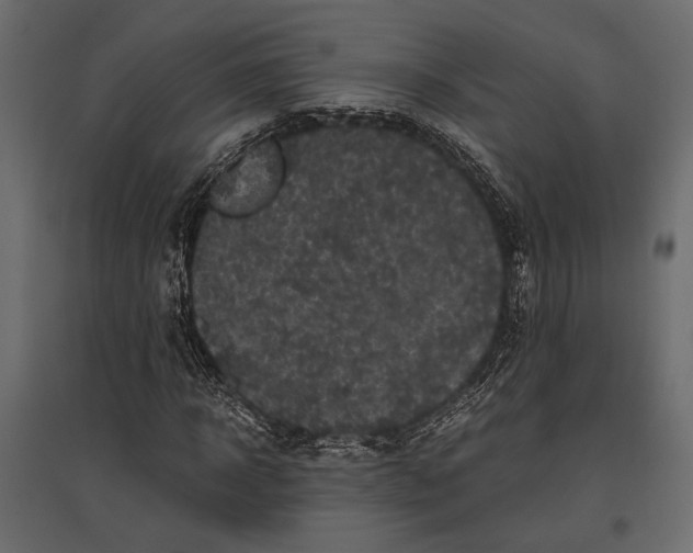 X0000096980918200803071026