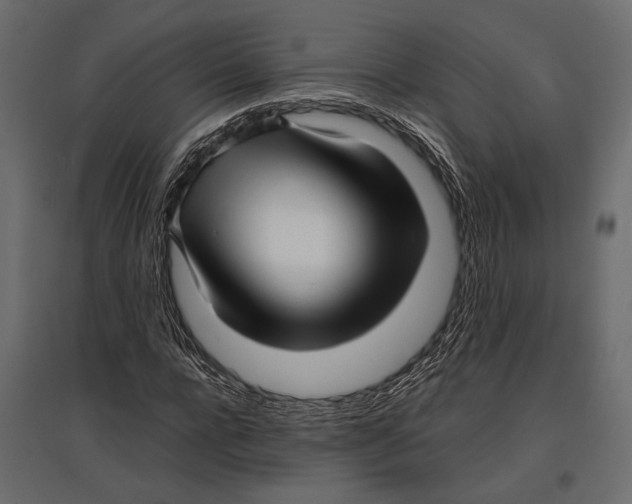 X0000096980920200803071026