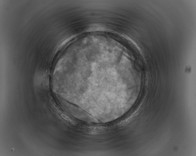 X0000096980921200803071026