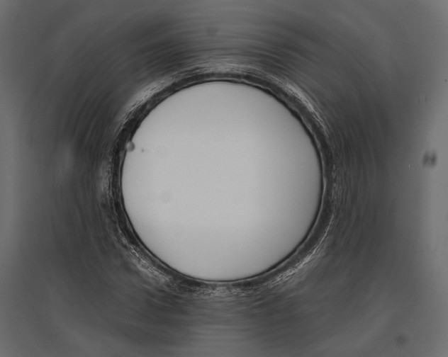 X0000096980922200803071026