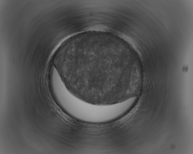 X0000096980923200803071026