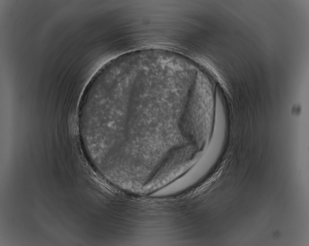 X0000096980924200803071026