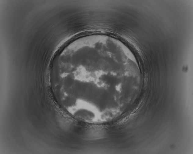 X0000096980925200803071026