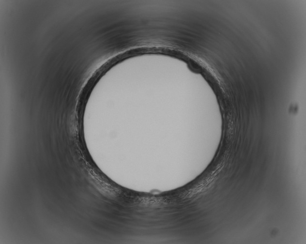 X0000096980927200803071026