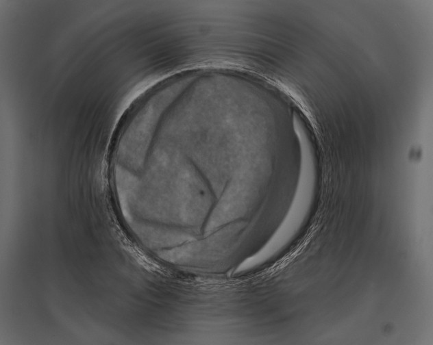 X0000096980928200803071026