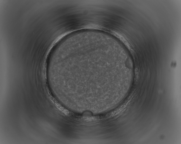 X0000096980931200803071026