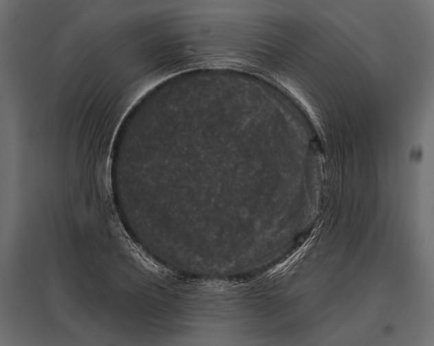 X0000096980932200803071026