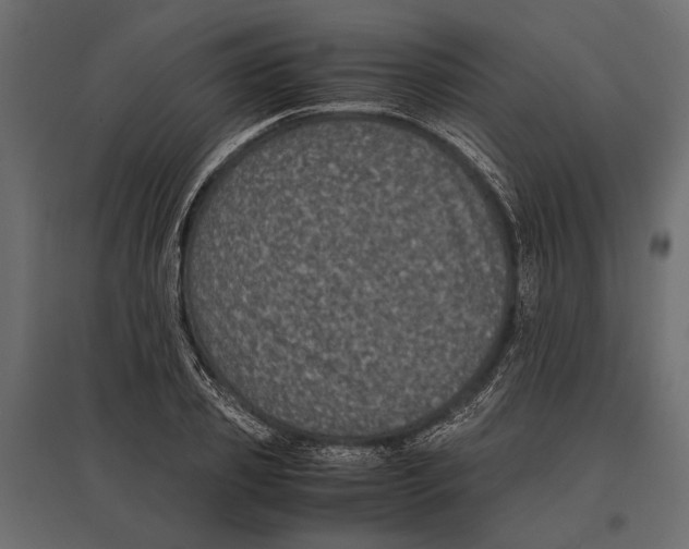 X0000096980933200803071026