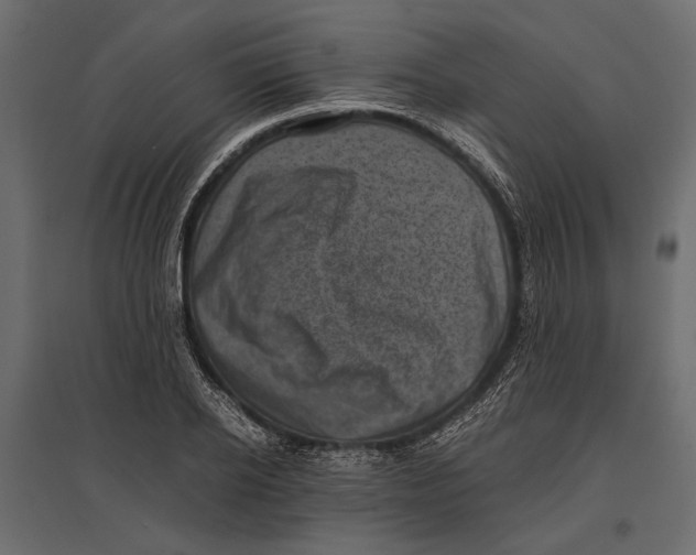 X0000096980934200803071026