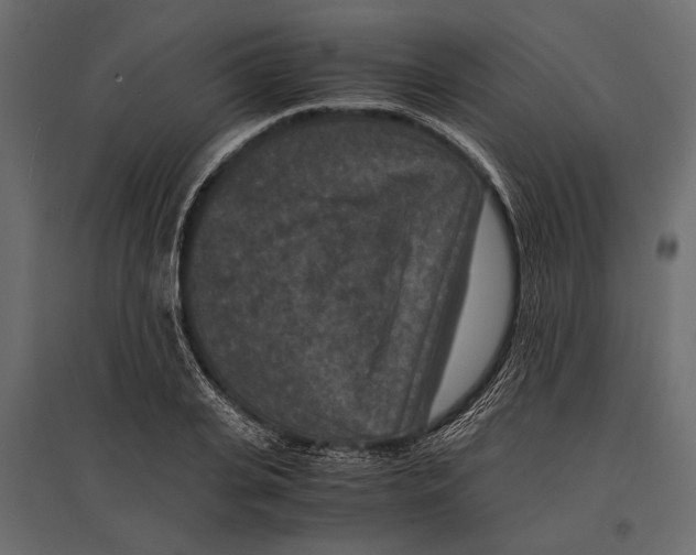 X0000096980935200803071026