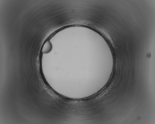 X0000096980936200803071026