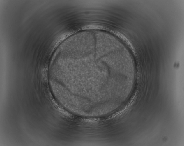 X0000096980937200803071026