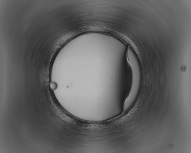 X0000096980938200803071026