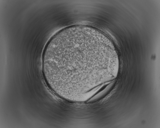 X0000096980940200803071026