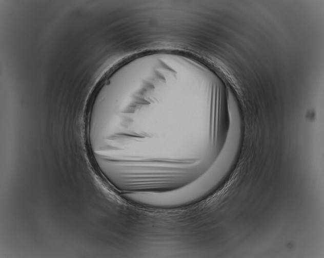 X0000096980942200803071026