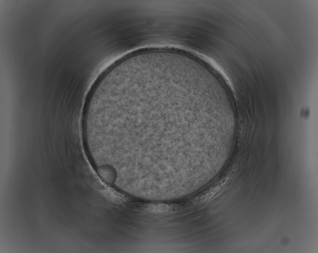 X0000096980943200803071026