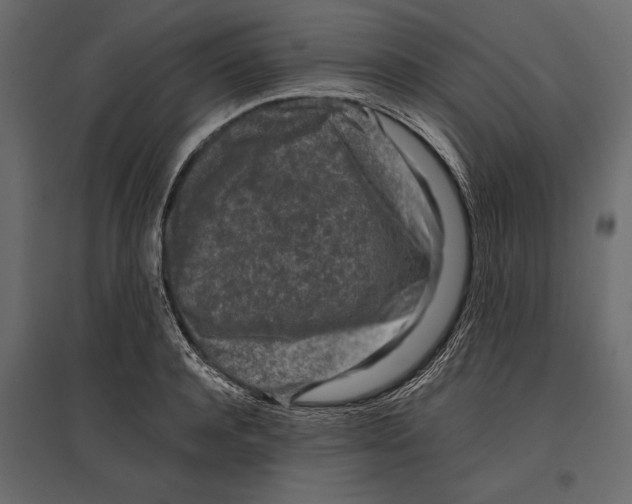 X0000096980944200803071026