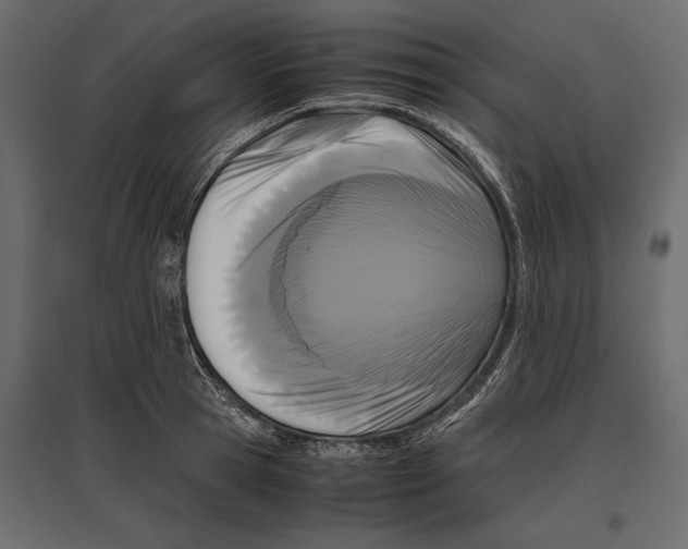 X0000096980945200803071026