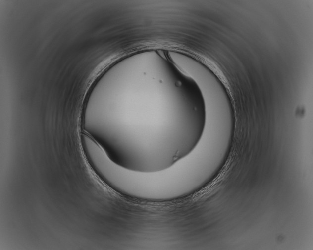 X0000096980946200803071026