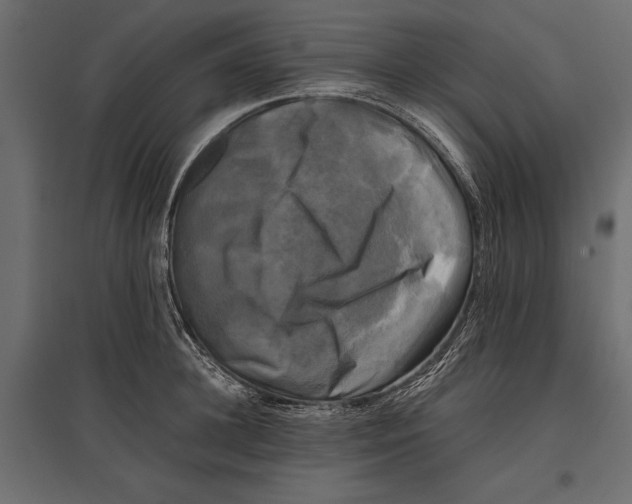 X0000096980948200803071026