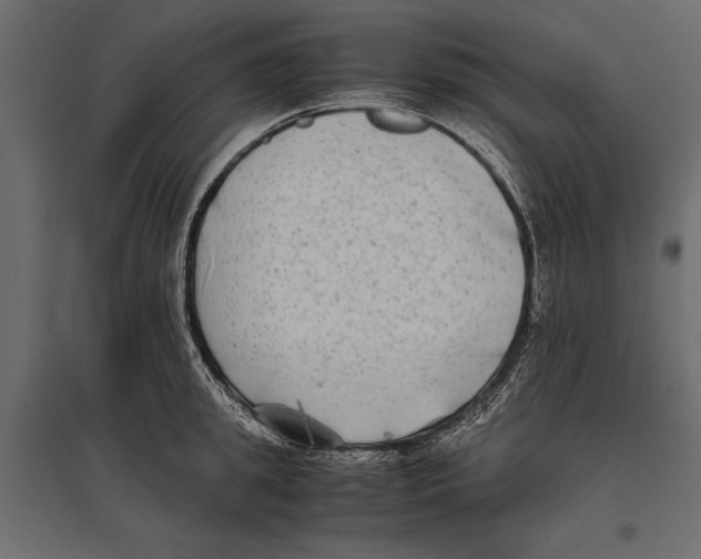 X0000096980949200803071026