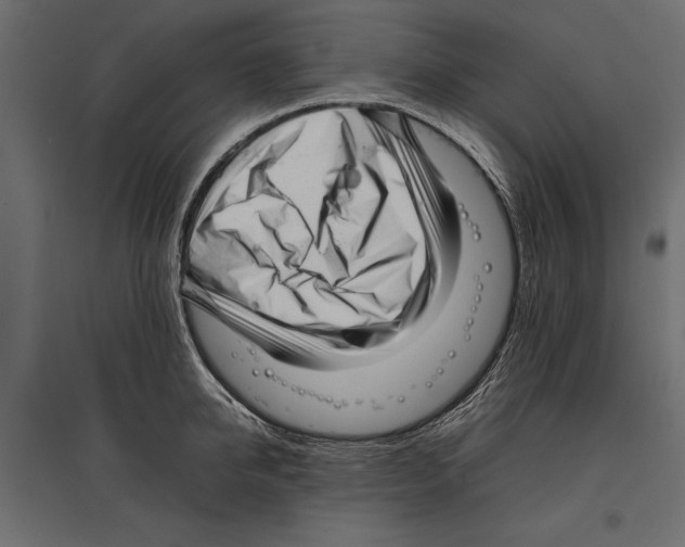 X0000096980950200803071026