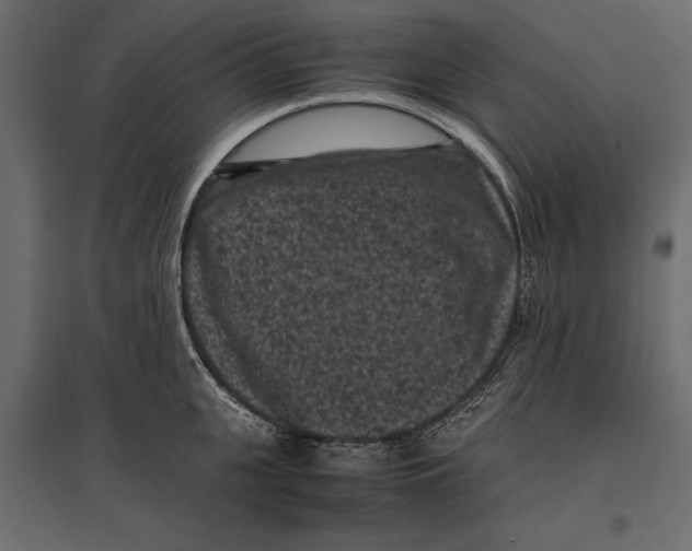 X0000096980951200803071026