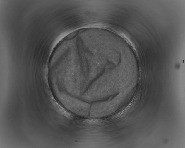 X0000096980952200803071026