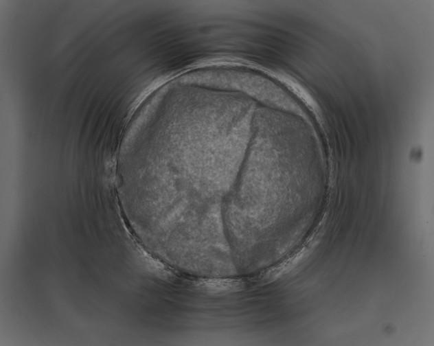 X0000096980953200803071026