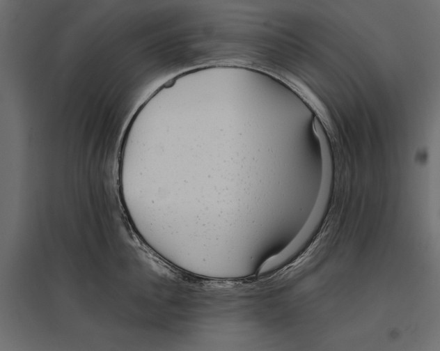 X0000096980956200803071026