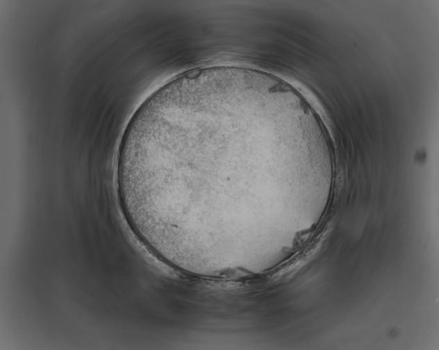 X0000096980957200803071026