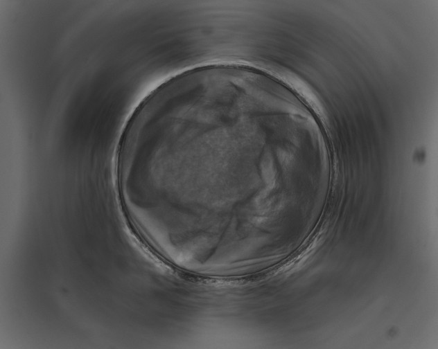 X0000096980958200803071026