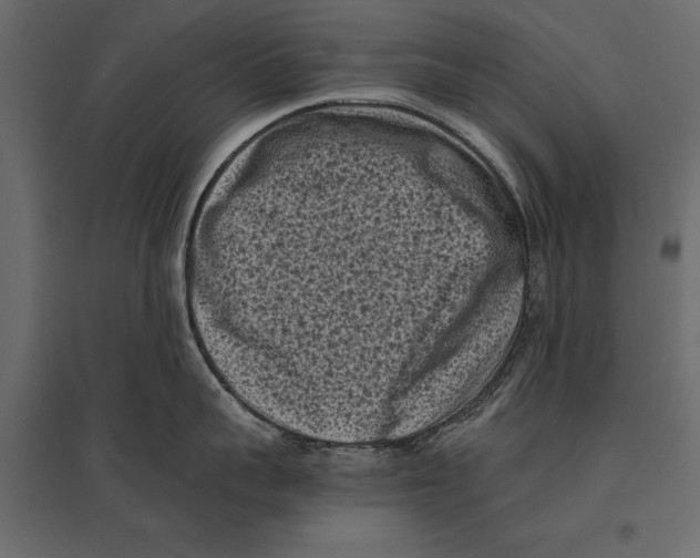 X0000096980959200803071026