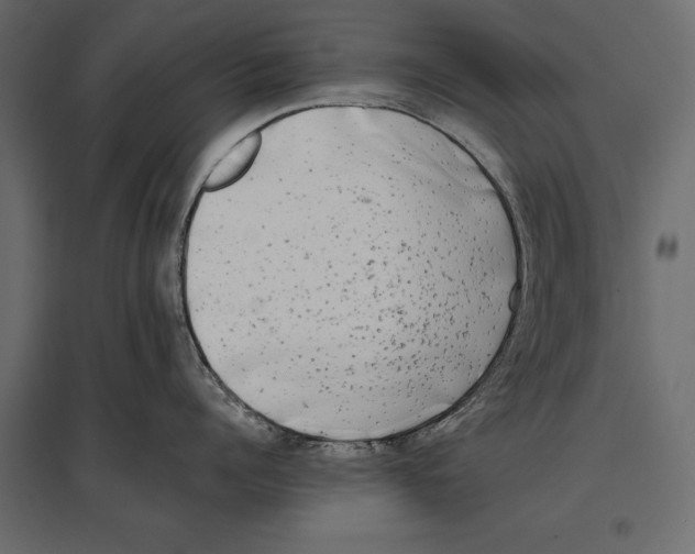 X0000096980960200803071026