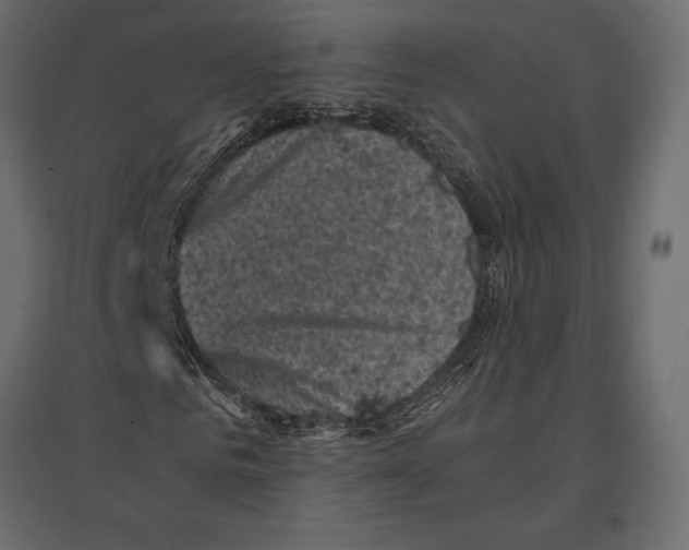 X0000096980961200803071026