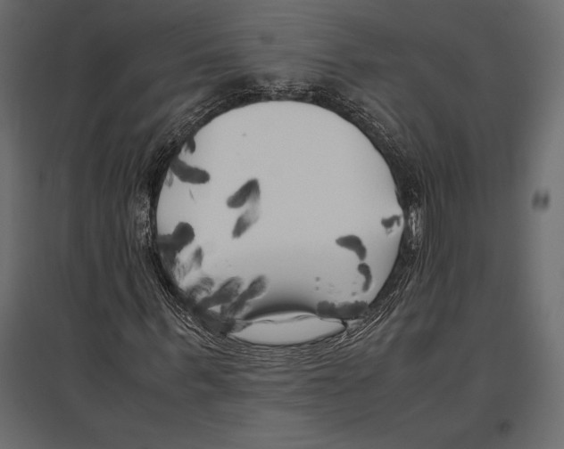 X0000096980963200803071026