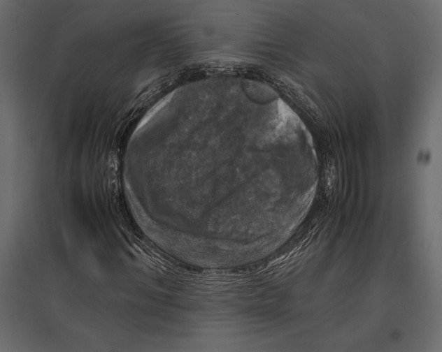 X0000096980964200803071026